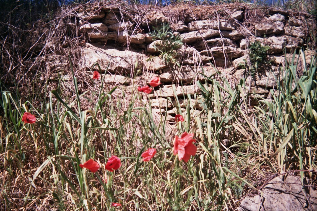 Zuk eskatuko bazenit